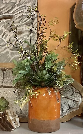 Succulent in Orange Clay Vase