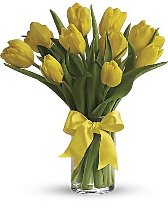 SUNNY YELLOW TULIPS