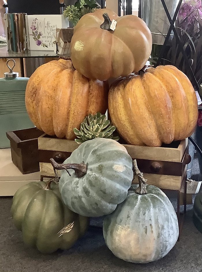 Harvest Pumpkins