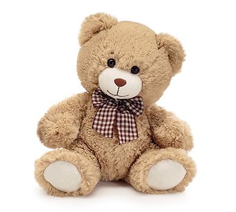 Beige Bear Brown Nose