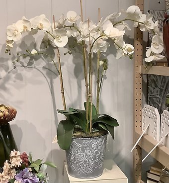 Orchids in Metal container