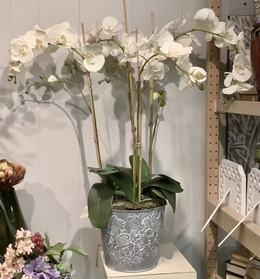 Orchids in Metal container