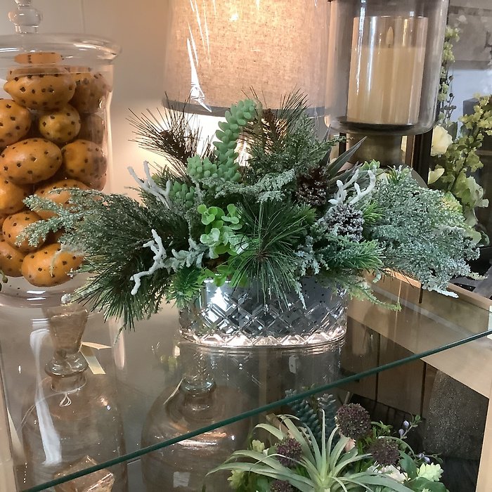 Christmas Succulent Arrangement