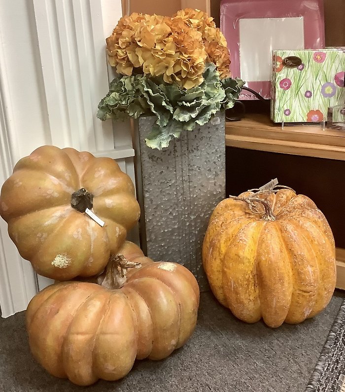 Harvest Pumpkins