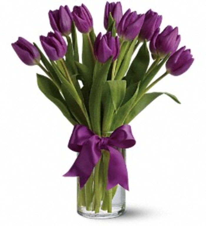 Passionate Purple Tulips