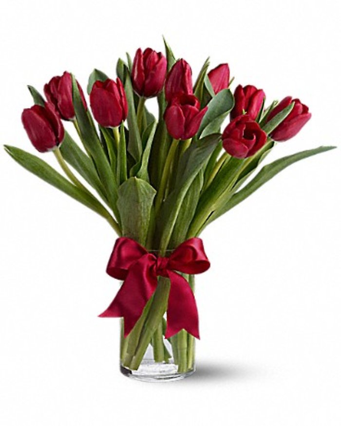 RADIANTLY RED TULIPS