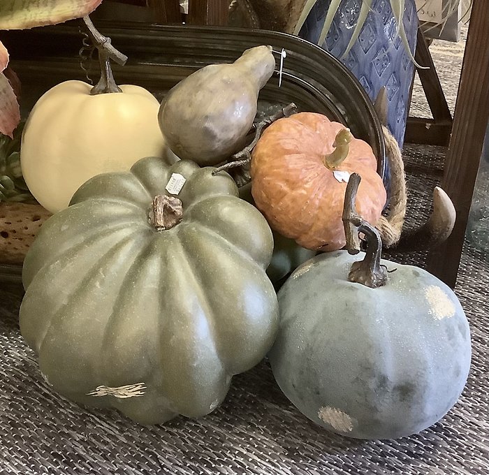 Harvest Pumpkins