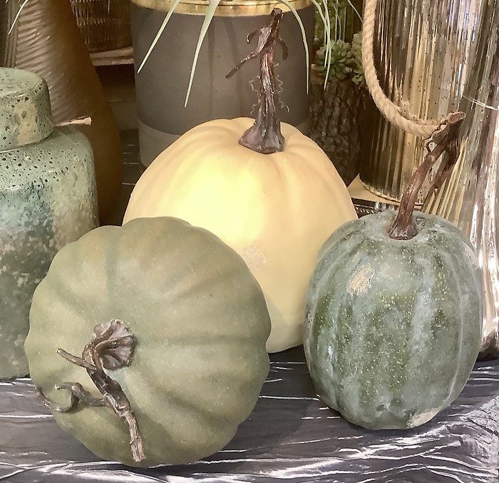 Harvest Pumpkins