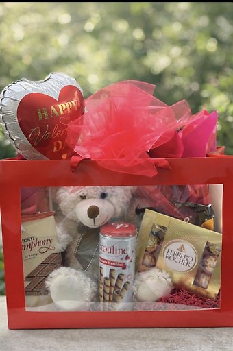 Red Gift Sack With Stuffed Animal