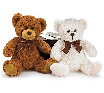 Plush White or Brown Bear